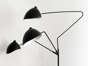 Image of Mid-Century Icons