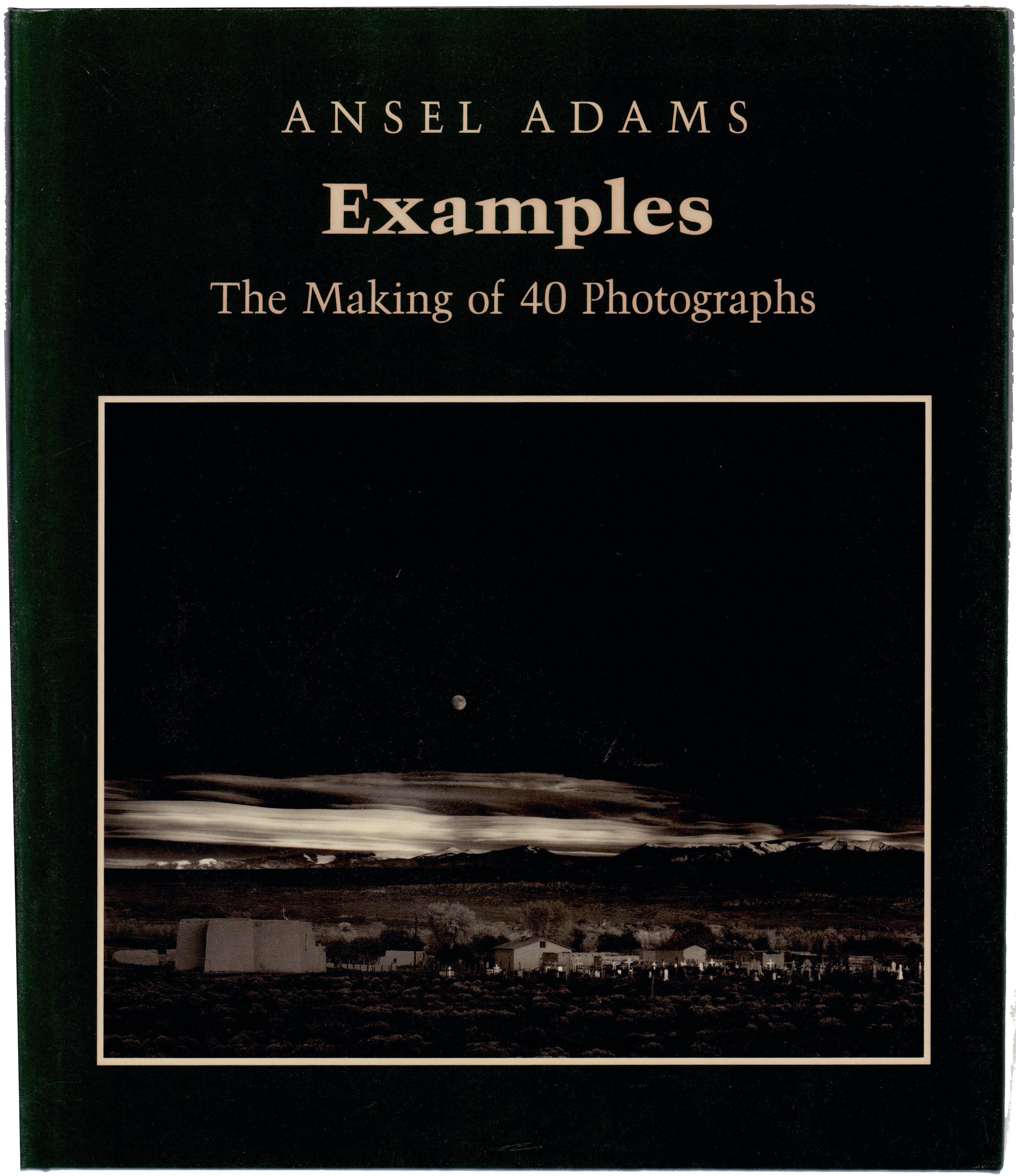 Learn the Art of Bird Photography The Complete Field Guide for Beginning and Intermediate Photographers and Birders