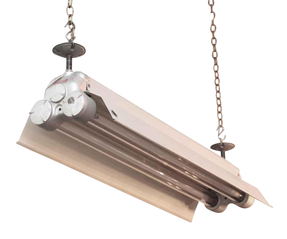 Explosion Proof Fluorescent Light Fixture Chairish