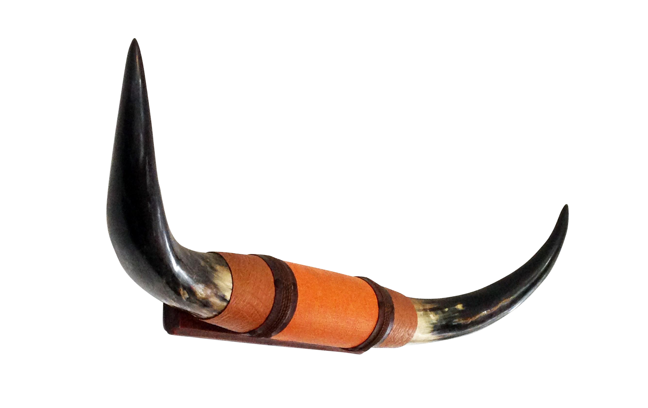 Vintage Wall Mounted Bull Horns | Chairish