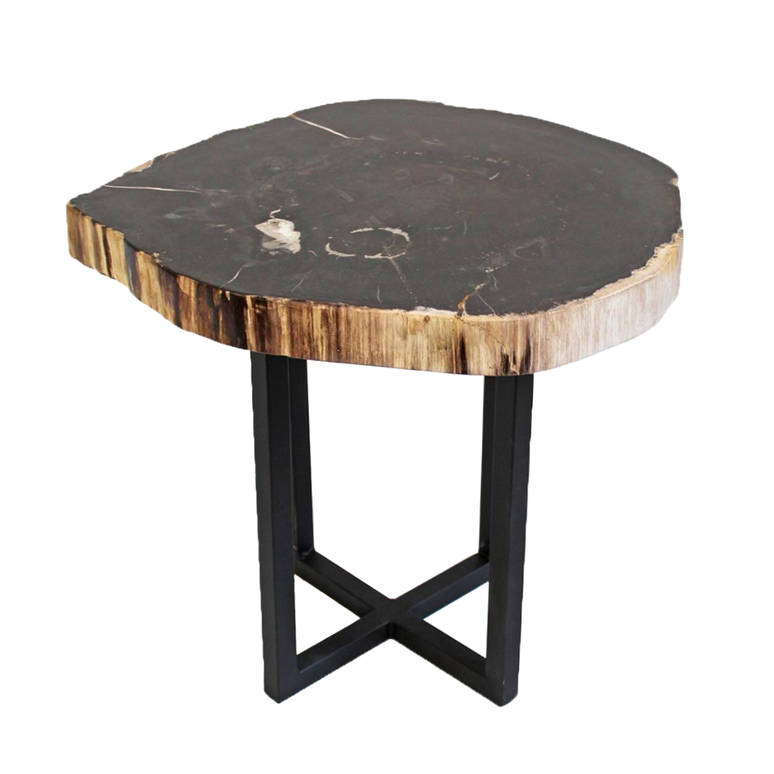 Petrified Wood Side Table Chairish