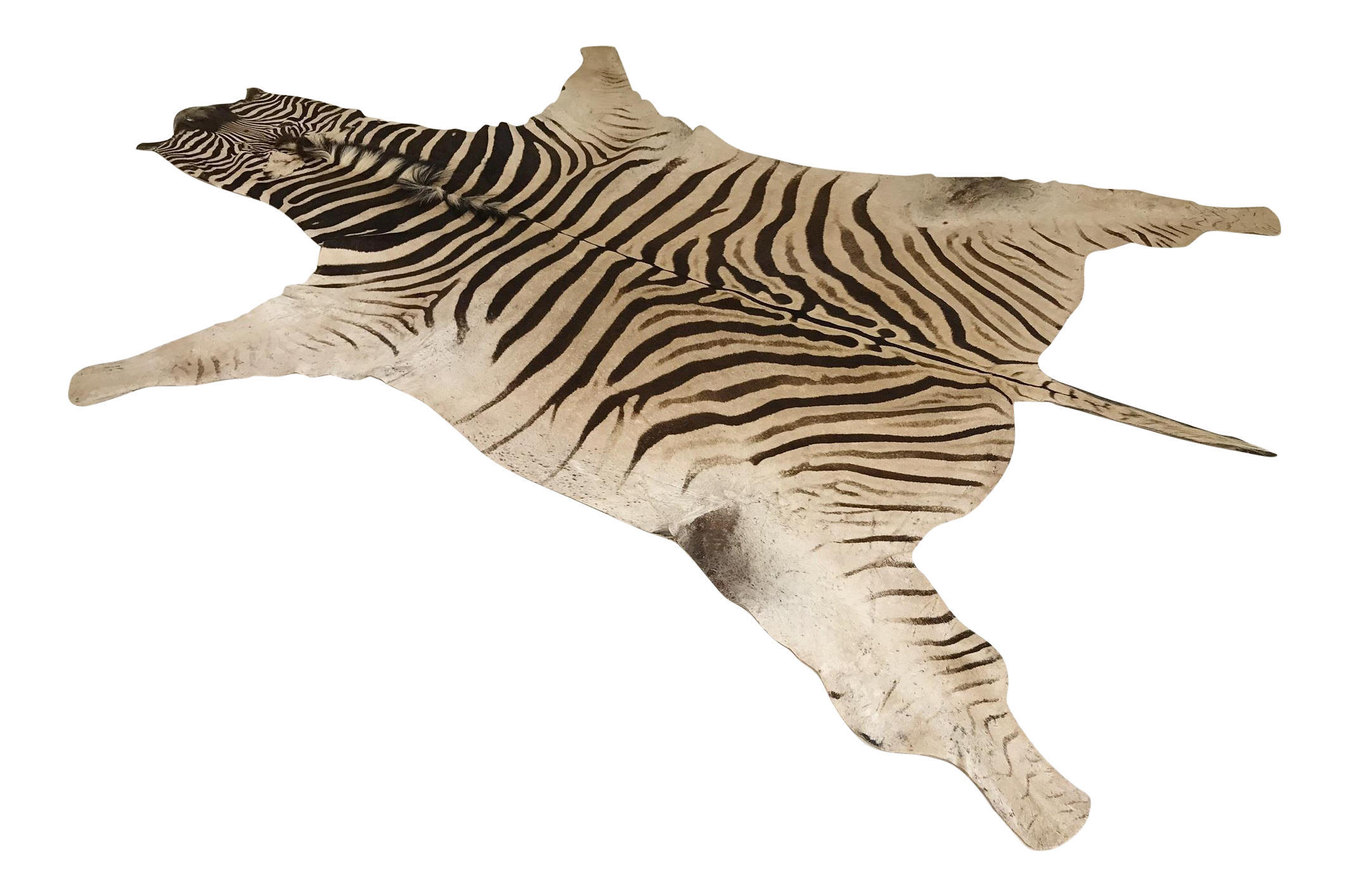 Zebra Hide Rug 6′6″ × 8′ Chairish