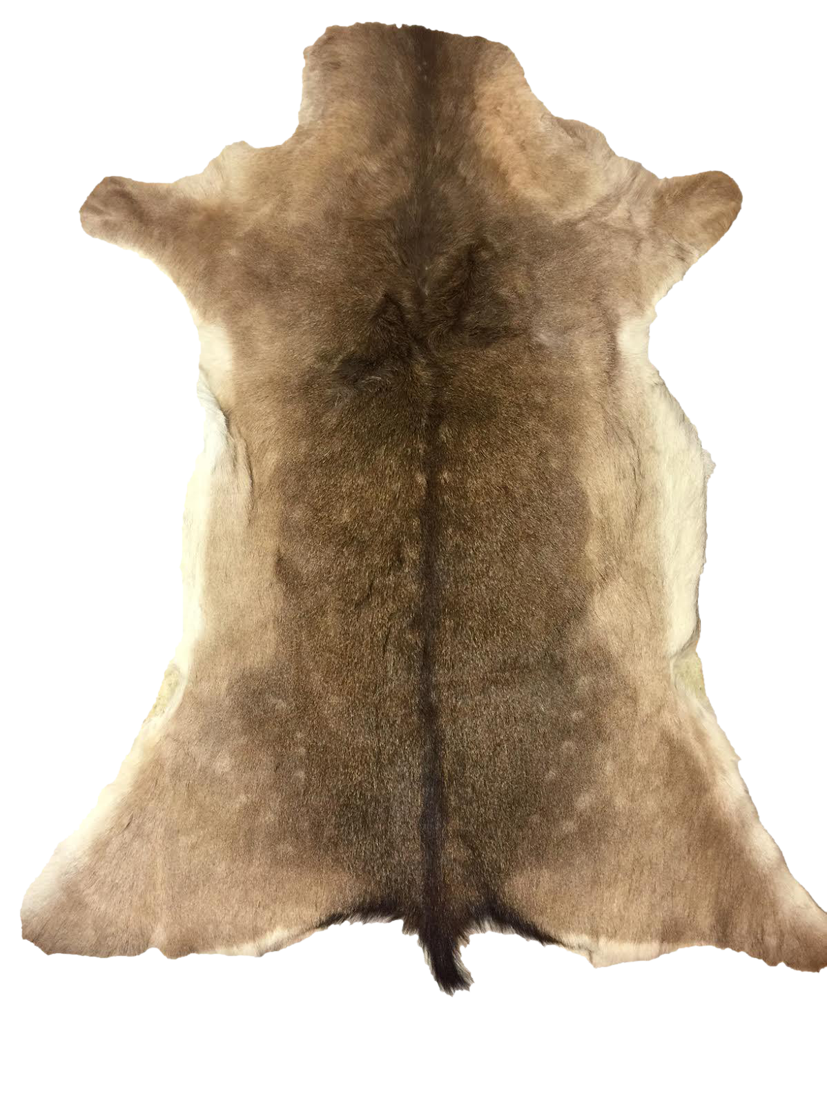 Vintage White Tail Deer Hide Rug or Wall Hanging 3′ × 3′9″ Chairish