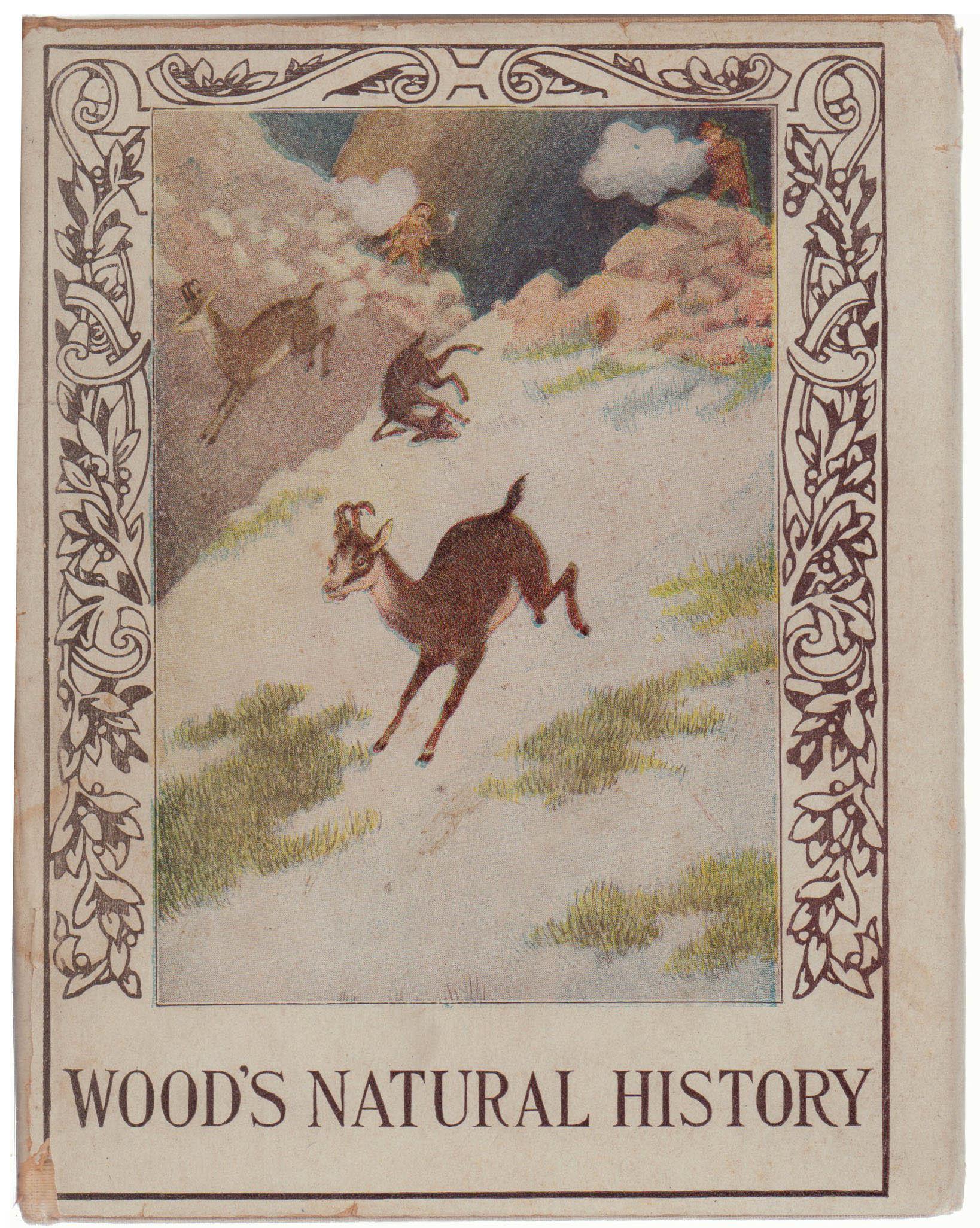 Wood s Natural History Book Chairish