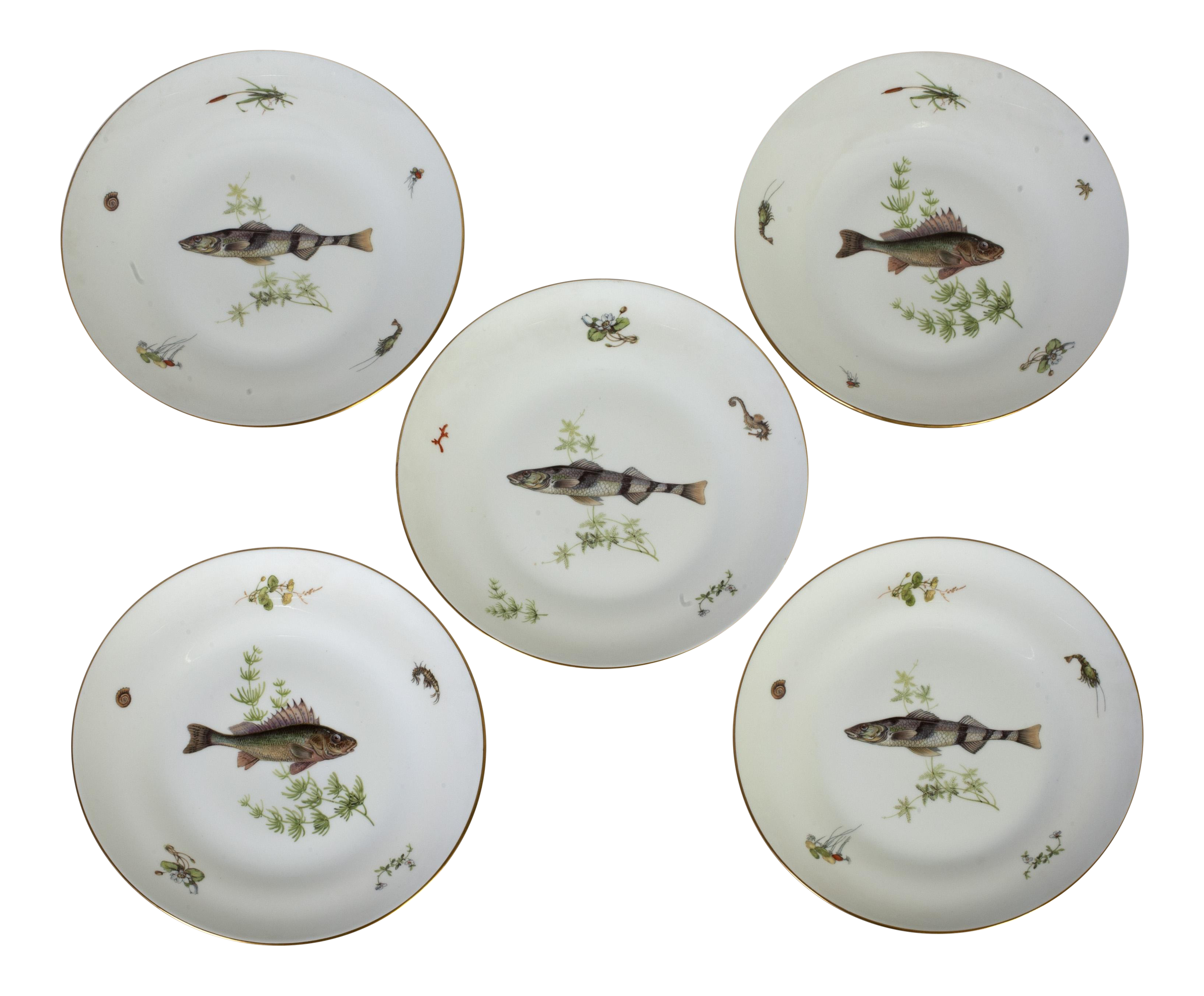 Italian Richard Ginori Fish Plates Set of 5 Chairish