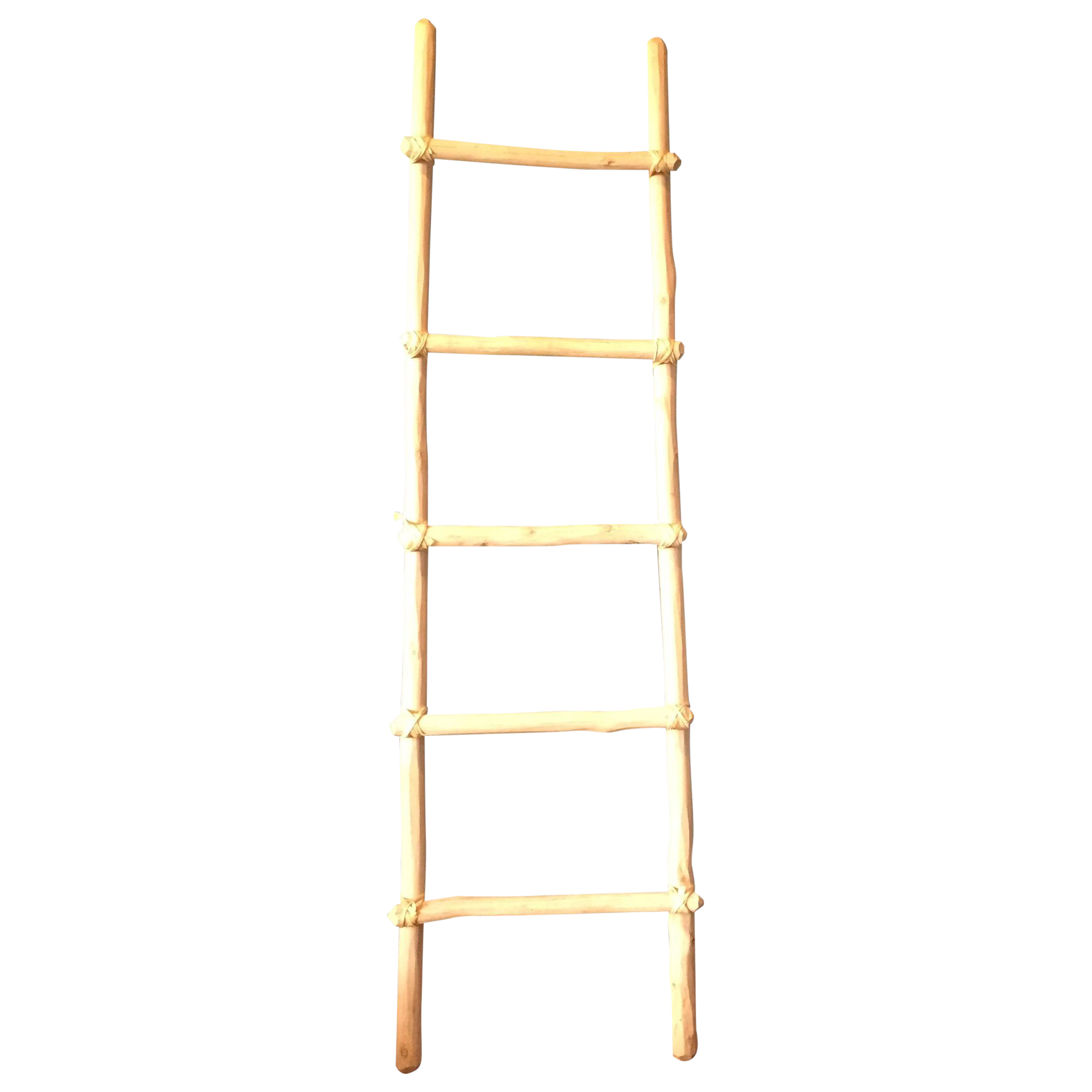 Bamboo Ladder Chairish