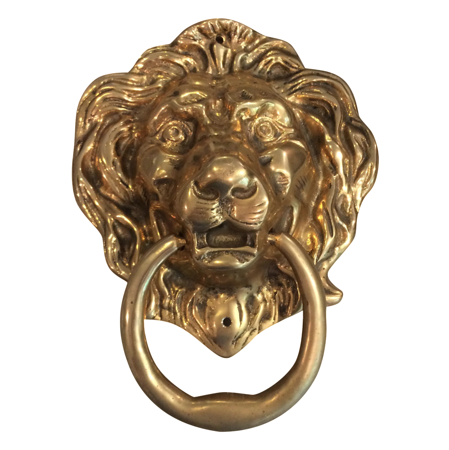 Oversize Brass Lion Head Door Knocker Chairish
