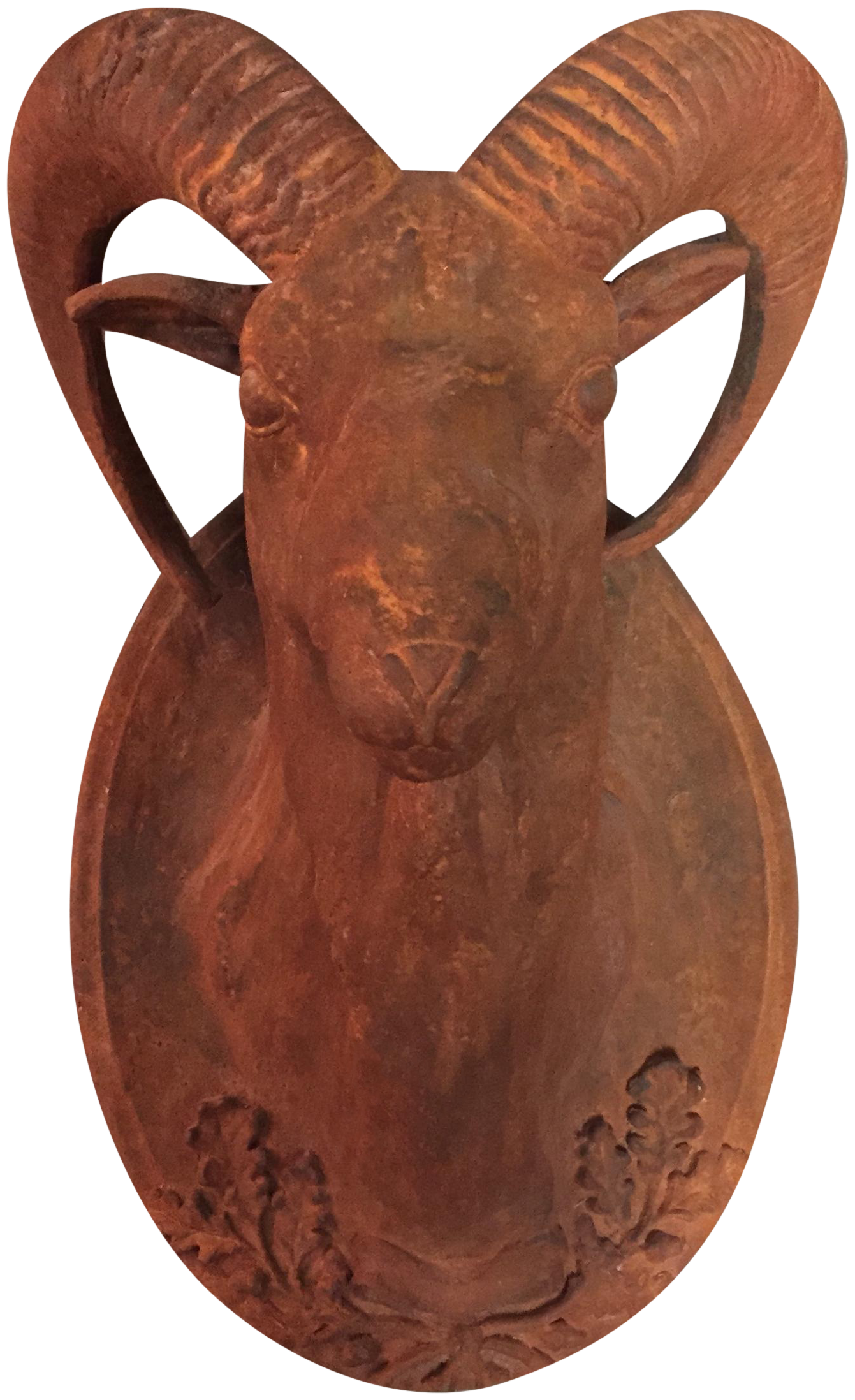 Ram Head Wall Art Chairish