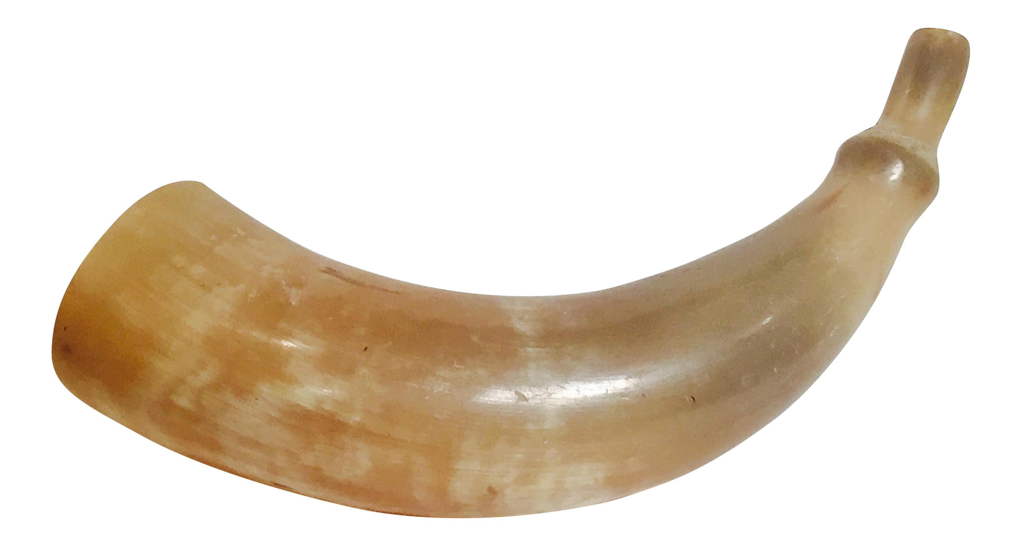 Unbelievable! This Modern Family Secret Involves A Viking Horn! - 50mwfbe
