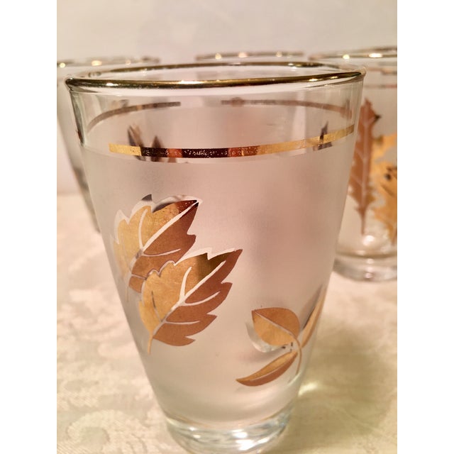 Libbey Gold Leaf Glasses Set of 7 Chairish