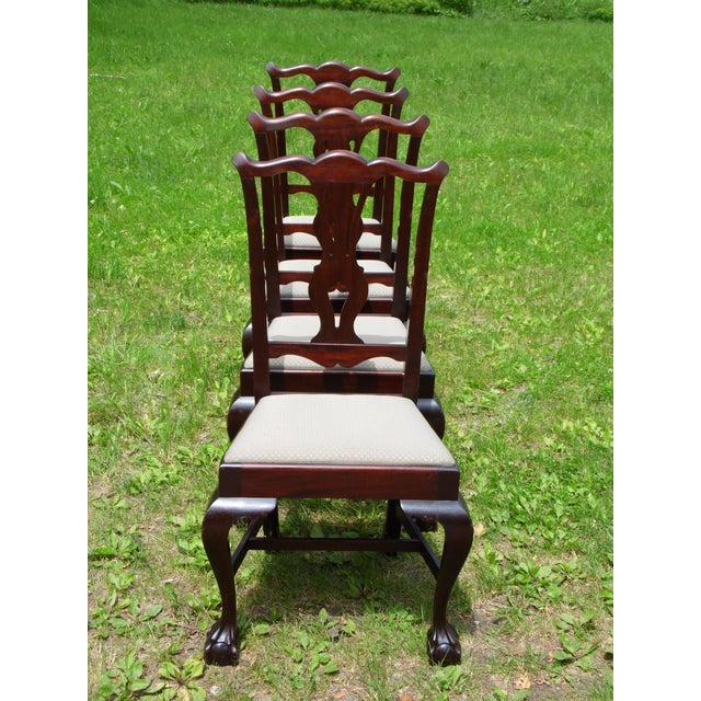 Vintage Chippendale Ball & Claw Foot Dining Chairs Set of 4 Chairish