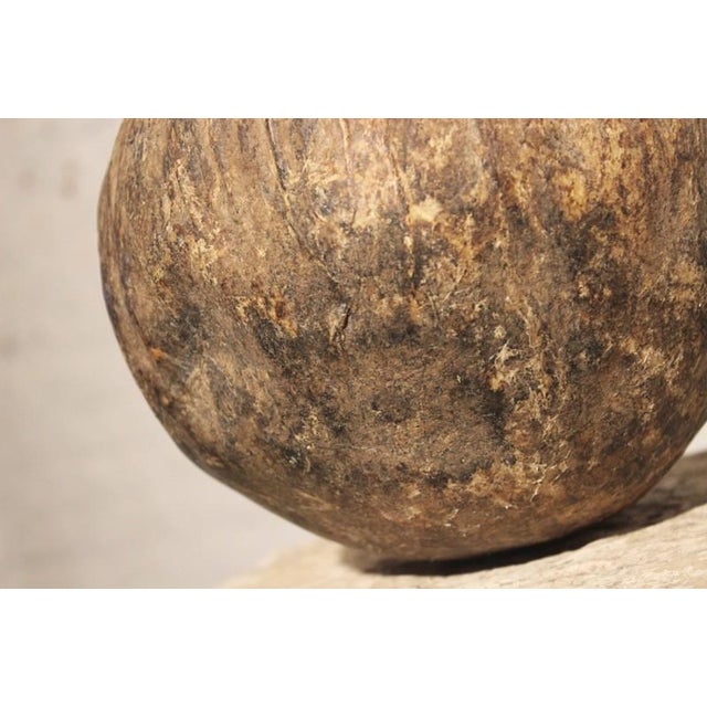 Vintage African Calabash Gourd Water Canteen Chairish