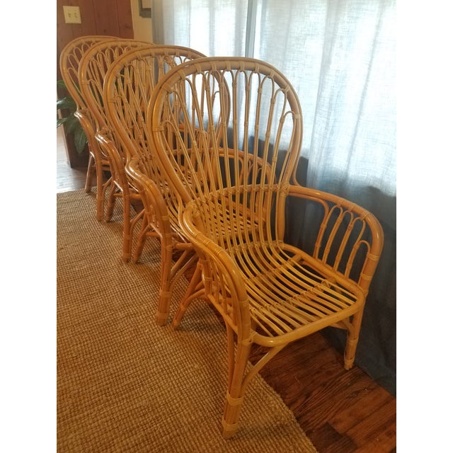 Bentwood Rattan Dining Chairs Set of 4 Chairish
