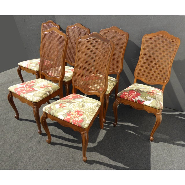6 French Provincial Cane Back Dining Room Chairs Chairish