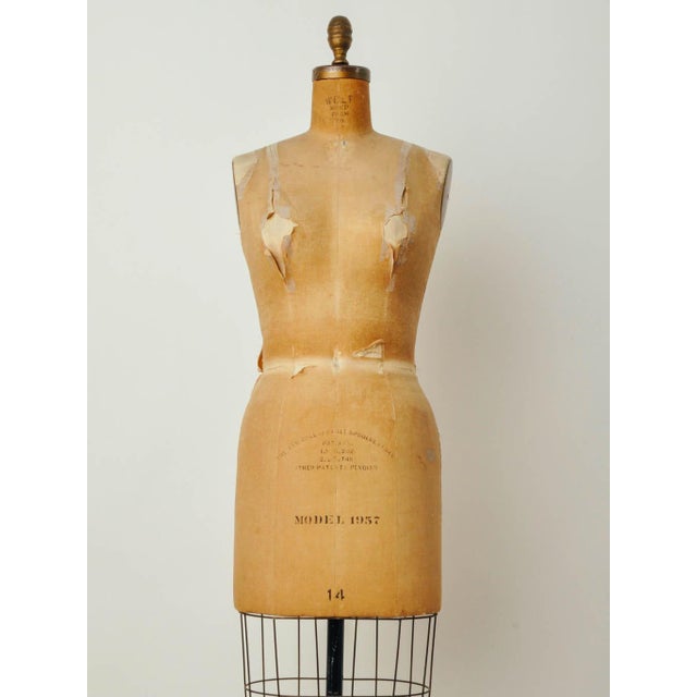 Vintage Wolf Model Dress Form Chairish