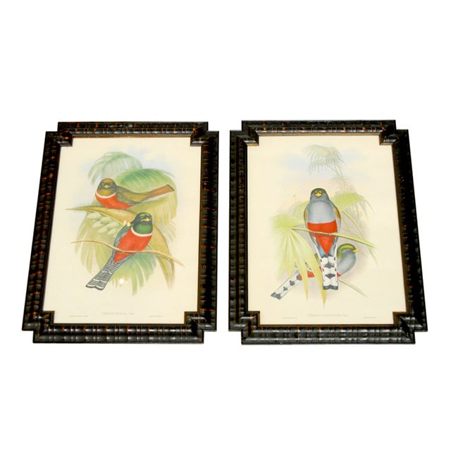 J. Gould Framed Prints Pair Chairish
