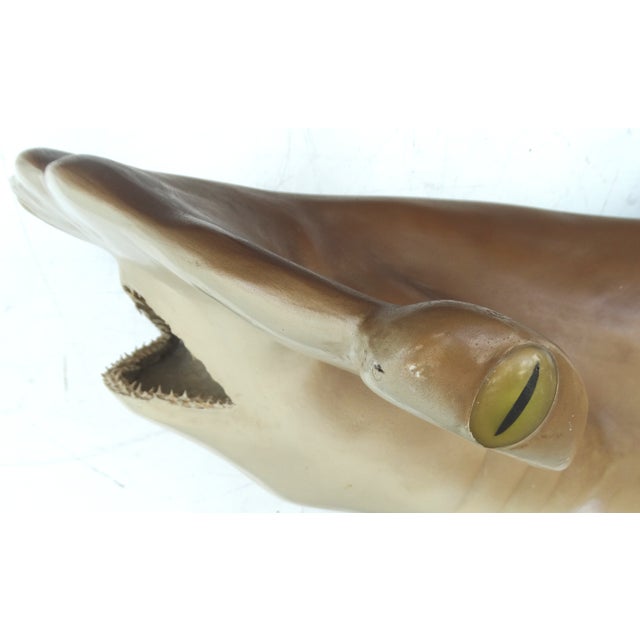 Full Size Hammerhead Shark Mount | Chairish