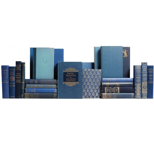 Decorative Gilt Blue Books Set of 24 Chairish
