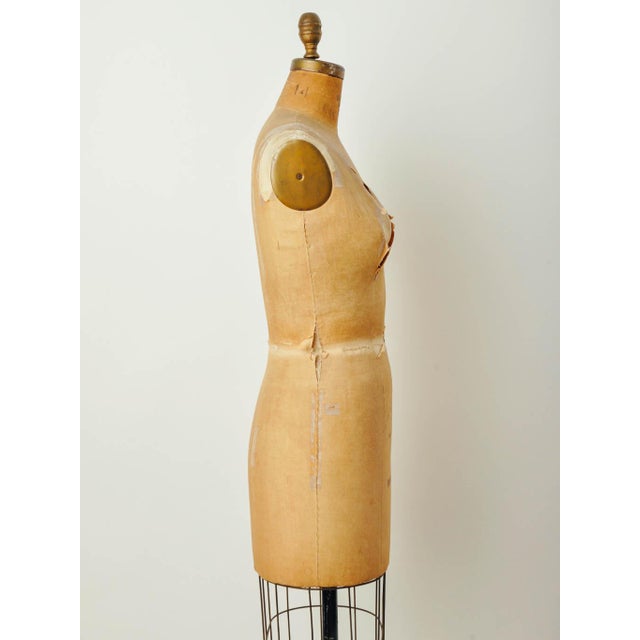 Vintage Wolf Model Dress Form Chairish