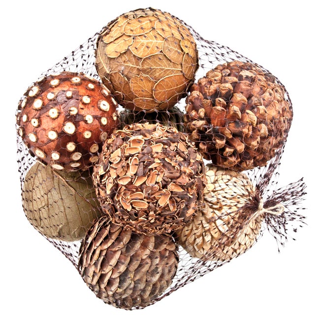 Natural Decorative Balls Set of 8 Chairish