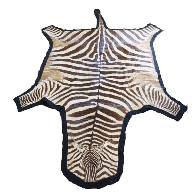 Authentic Zebra Hide Rug on Felt 5' x 10' Chairish