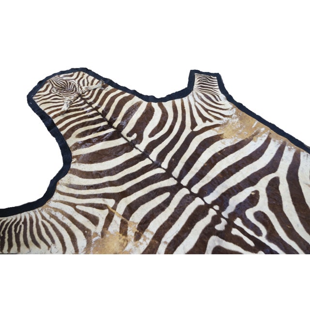Authentic Zebra Hide Rug on Felt 5' x 10' Chairish