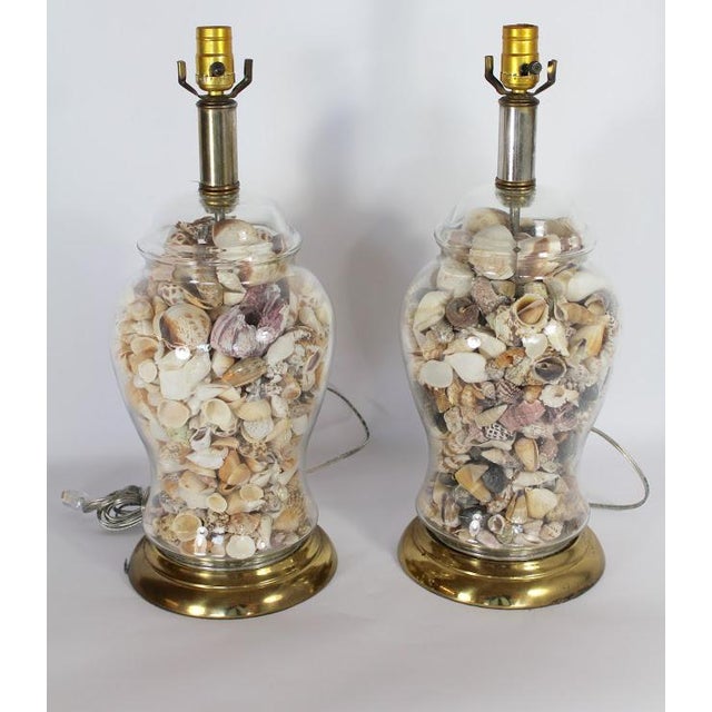 MidCentury Brass and Glass Sea Shell Filled Lamps A Pair Chairish