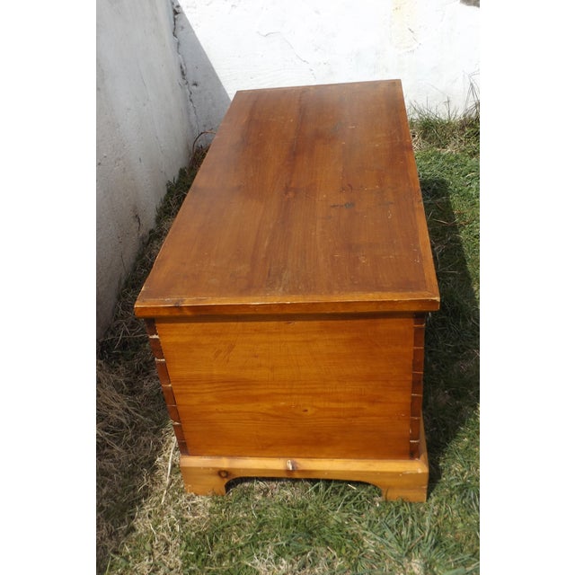 Primitive Antique Dovetailed Pine Hope Chest Chairish