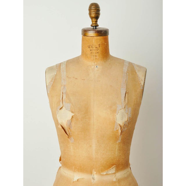 Vintage Wolf Model Dress Form Chairish