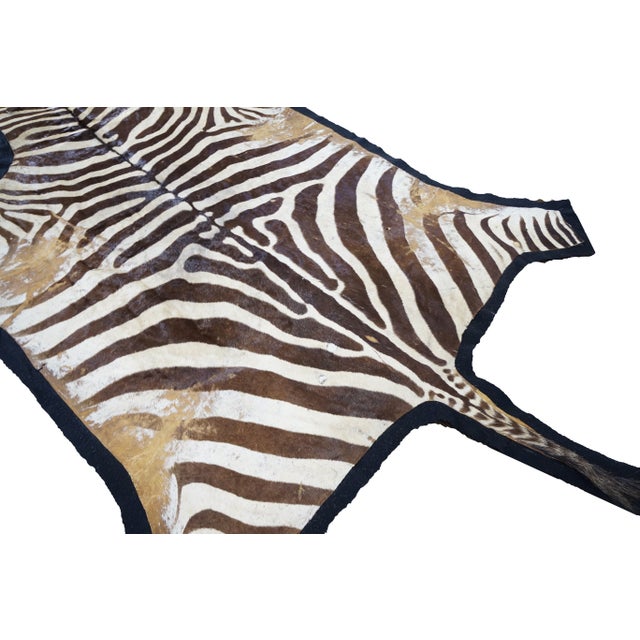 Authentic Zebra Hide Rug on Felt 5' x 10' Chairish