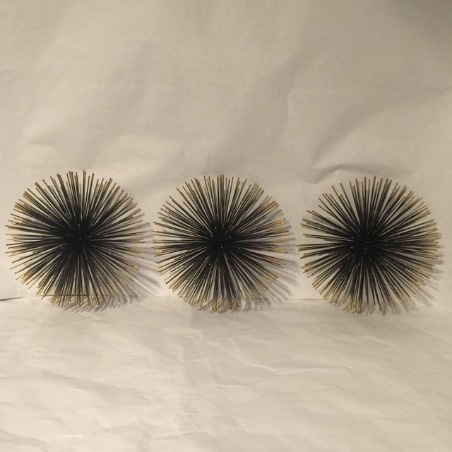10" Sea Urchins Wall Decor Set of 3 Chairish