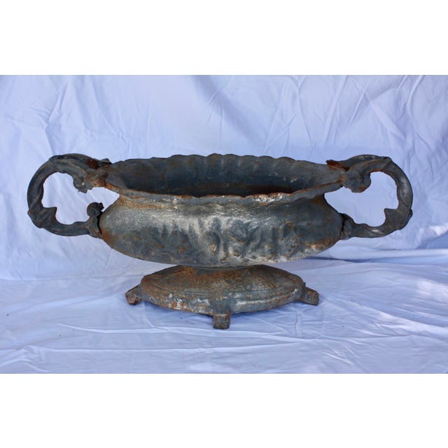 Belgian Cast Iron Jardiniere Chairish