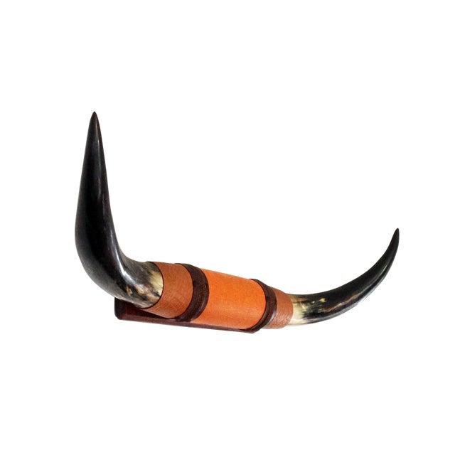 Vintage Wall Mounted Bull Horns Chairish