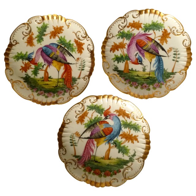 Antique Limoges Birds of Paradise Plates Set of 3 Chairish
