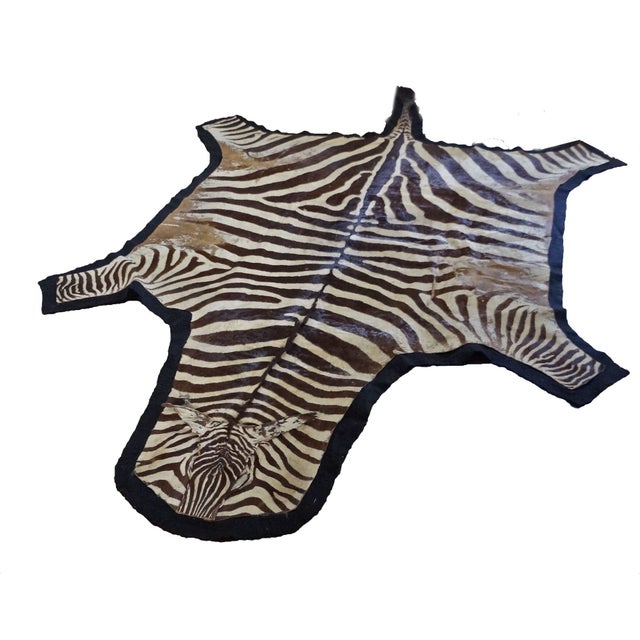 Authentic Zebra Hide Rug on Felt 5' x 10' Chairish