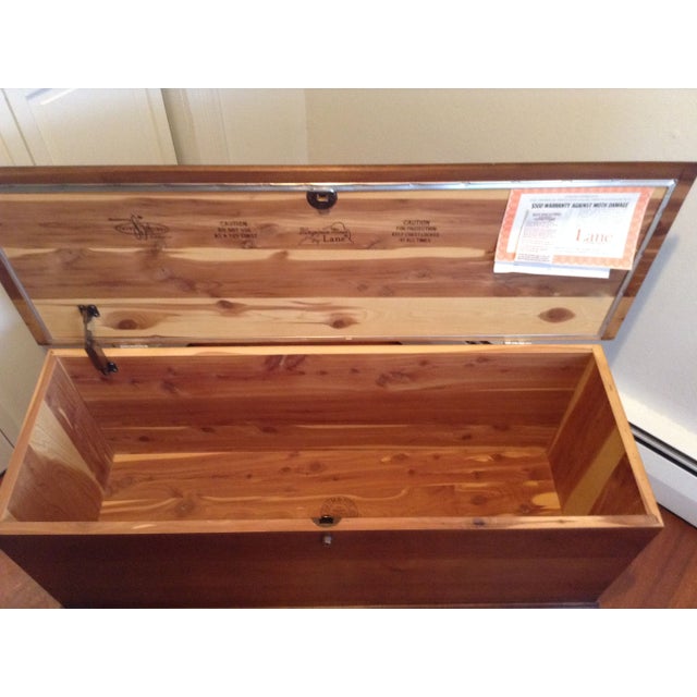 Antique Lane Cedar Chest Chairish