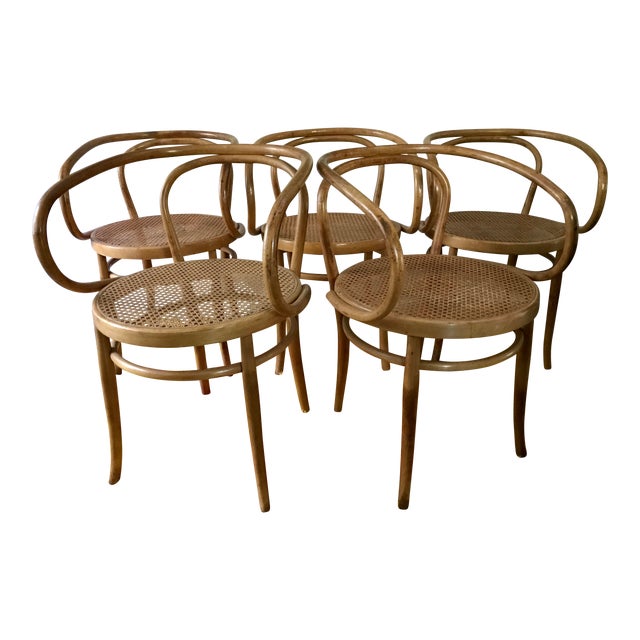Bentwood Arm Chairs Set of 5 Chairish