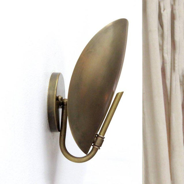 Brass Shell Wall Lights Chairish