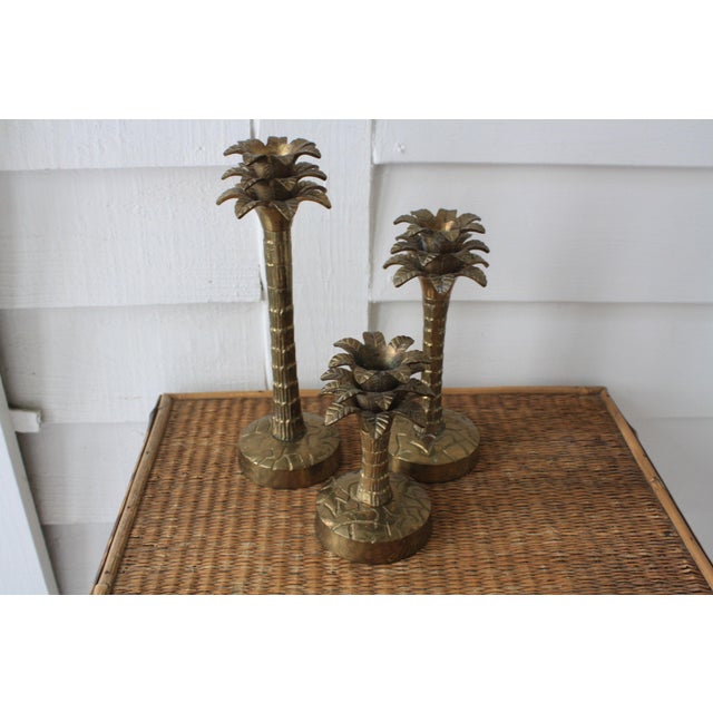 Brass Palm Tree Candle Holders Set of 3 Chairish