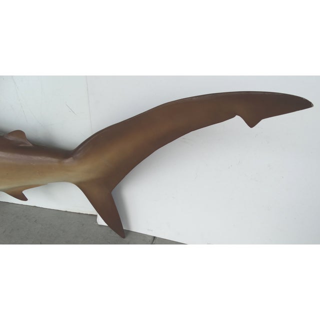 Full Size Hammerhead Shark Mount | Chairish