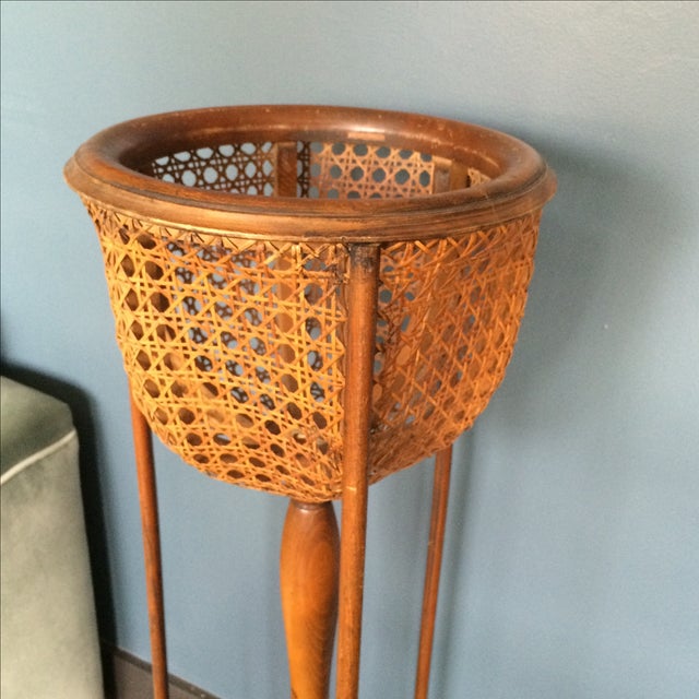 Rattan Plant Stand Chairish