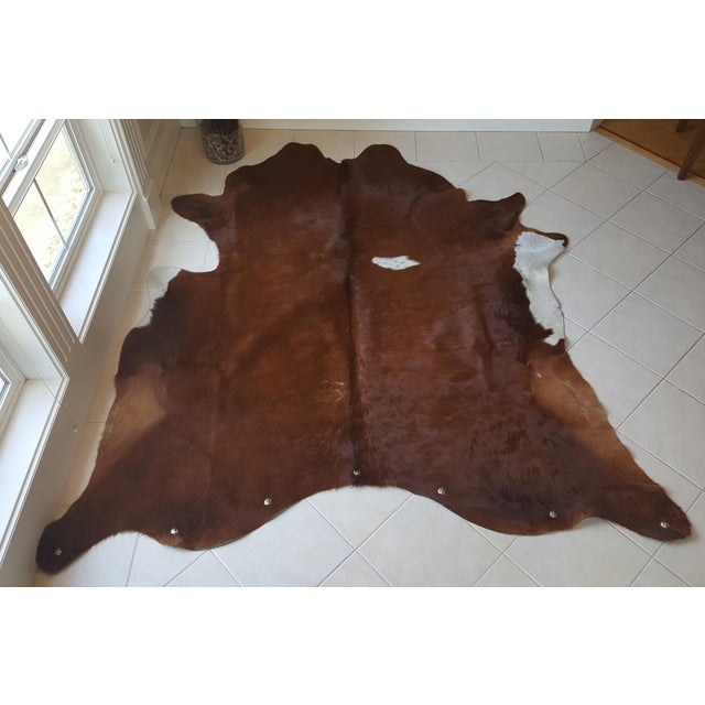 Cow Hide Rug / Wall Hanging 7′ × 8′ Chairish