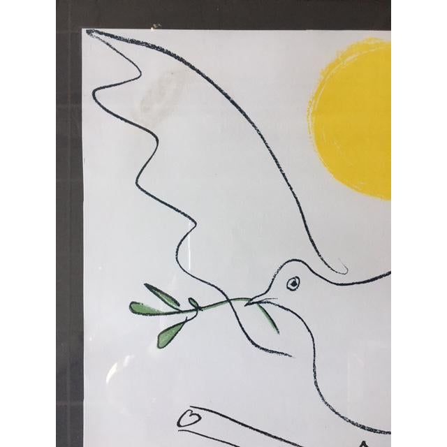 Framed Picasso Dove of Peace Print Chairish