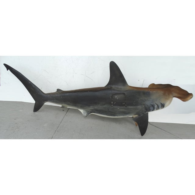 Full Size Hammerhead Shark Mount | Chairish