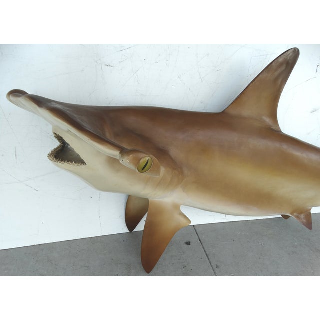 Full Size Hammerhead Shark Mount | Chairish