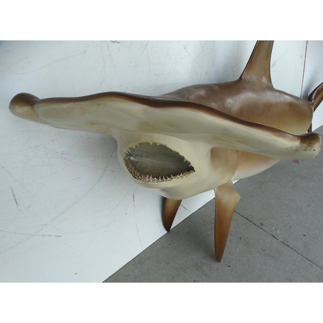 Full Size Hammerhead Shark Mount | Chairish
