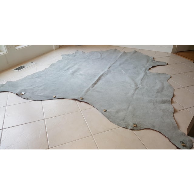 Cow Hide Rug / Wall Hanging 7′ × 8′ Chairish
