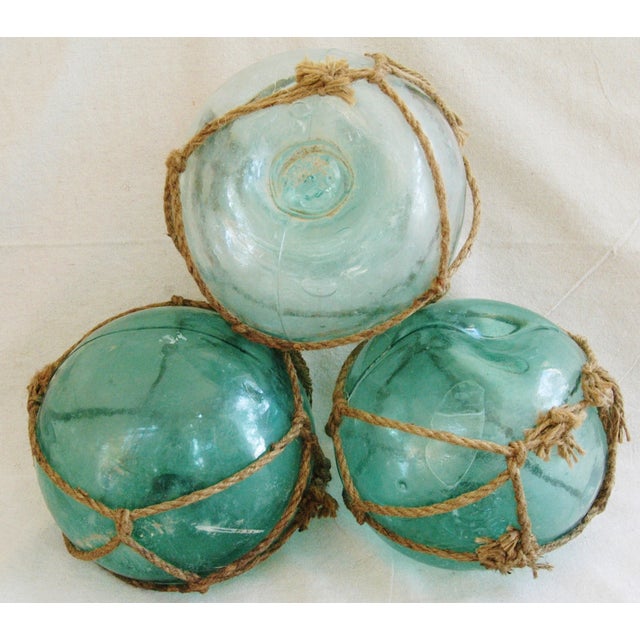 Jumbo HandBlown Glass Fishing Floats 3 Chairish