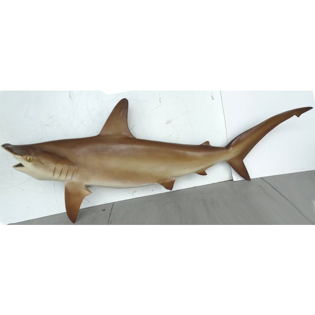 Full Size Hammerhead Shark Mount | Chairish