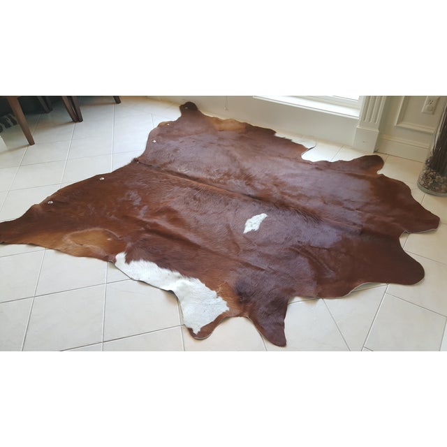 Cow Hide Rug / Wall Hanging 7′ × 8′ Chairish